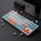 Salmon 104+9 GMK ABS Doubleshot Double Shot Keycaps Set for Cherry MX Mechanical Gaming Keyboard